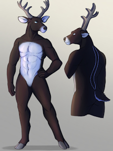 Commission - Character Sheets