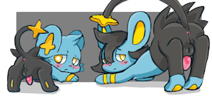 For Luxray