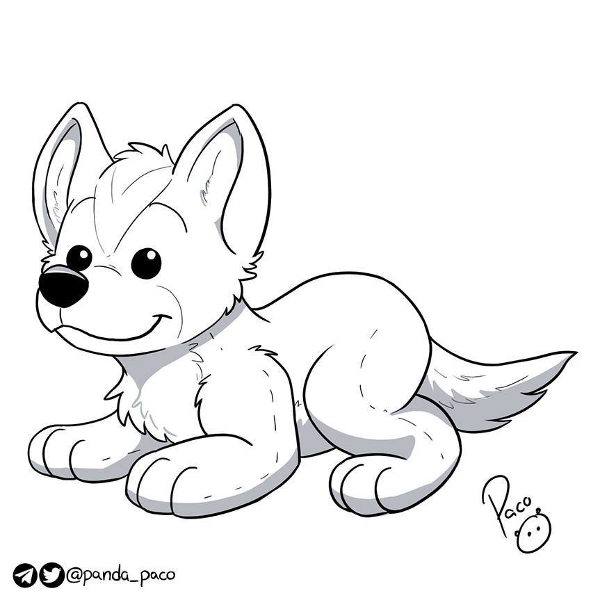 3002639_pandapaco_730andy_plushie_2019.png