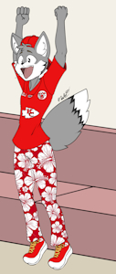 Chiefs Superbowl Win