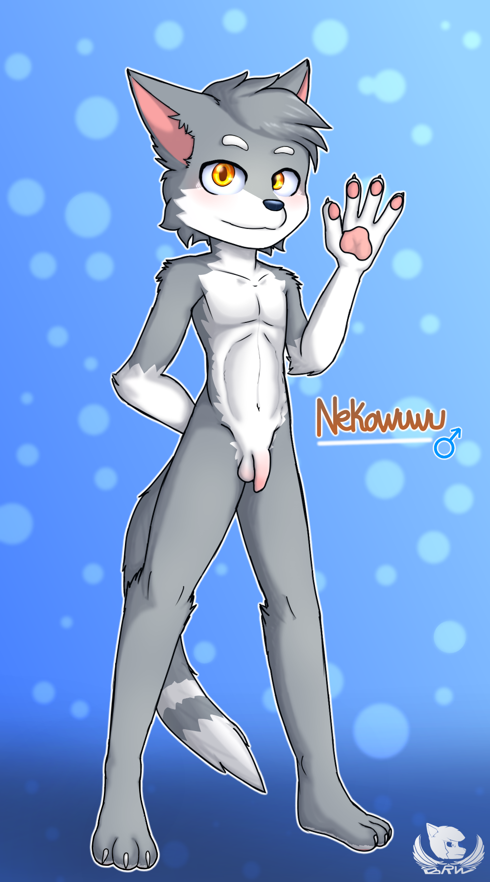3533076_BlakiRaiper_nekowuwu_bg_b_by_blaki_raiper.png