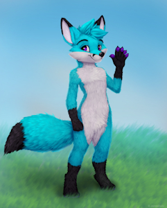 Renard Vulpes