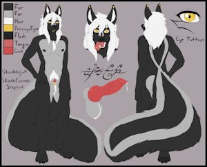 Aixen - Ref Sheet
