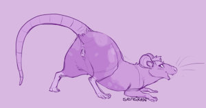 Year of the Rat - Rat Girl 1