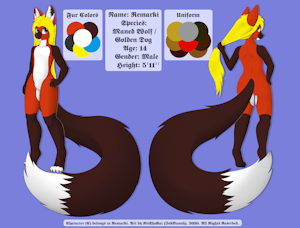 COM - Remarki Ref Sheet