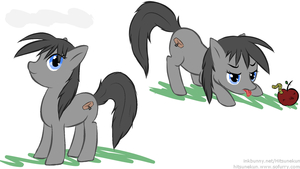 Practicing ponies