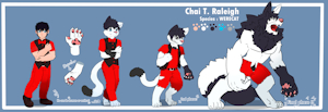 COMMISSION for CYCY