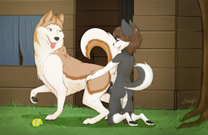 Cole and The Family Dog