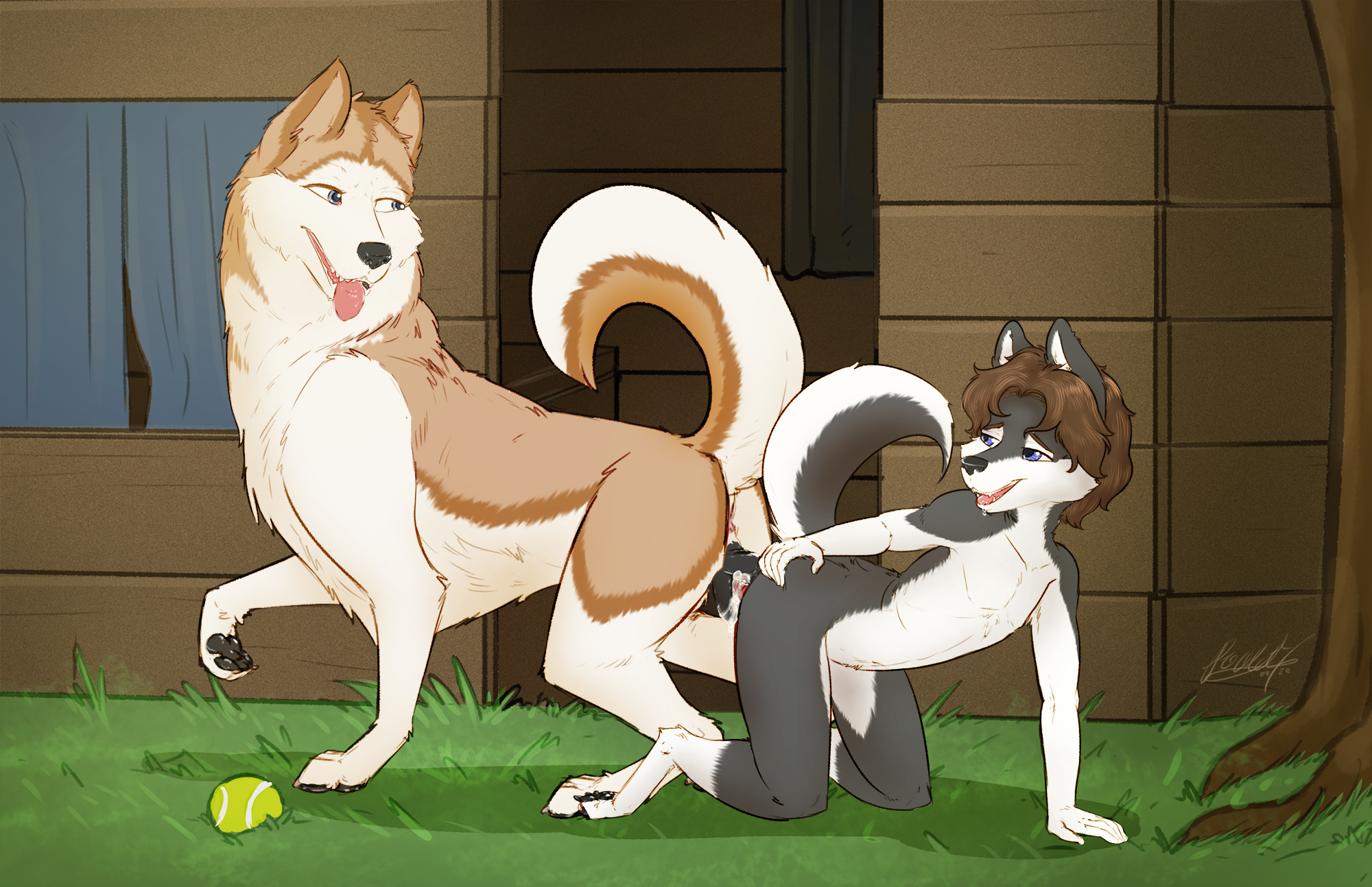 3035909_DiegoandFriends_cole_and_the_family_dog_03_sd.png
