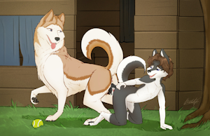 3035909_DiegoandFriends_cole_and_the_family_dog_03_sd.png