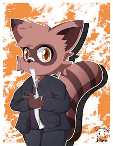Raccoon