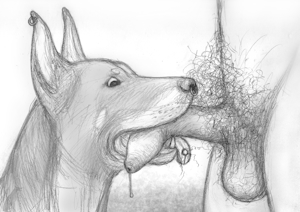 Furry Friends