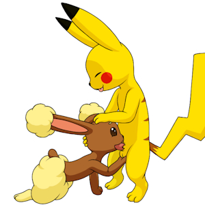 Imagenes simples aleatorias no tan simples ni aleatorias.