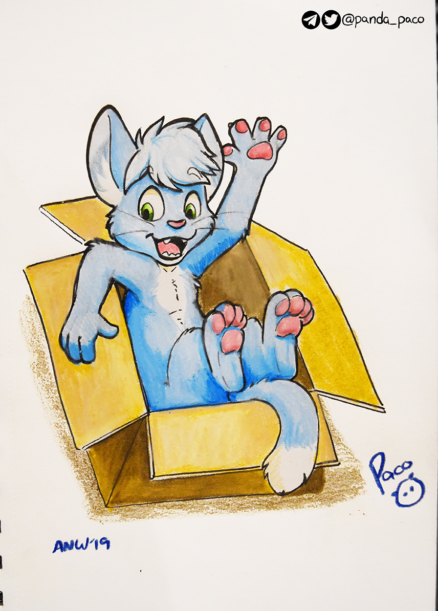 3042267_pandapaco_734teez.jpg