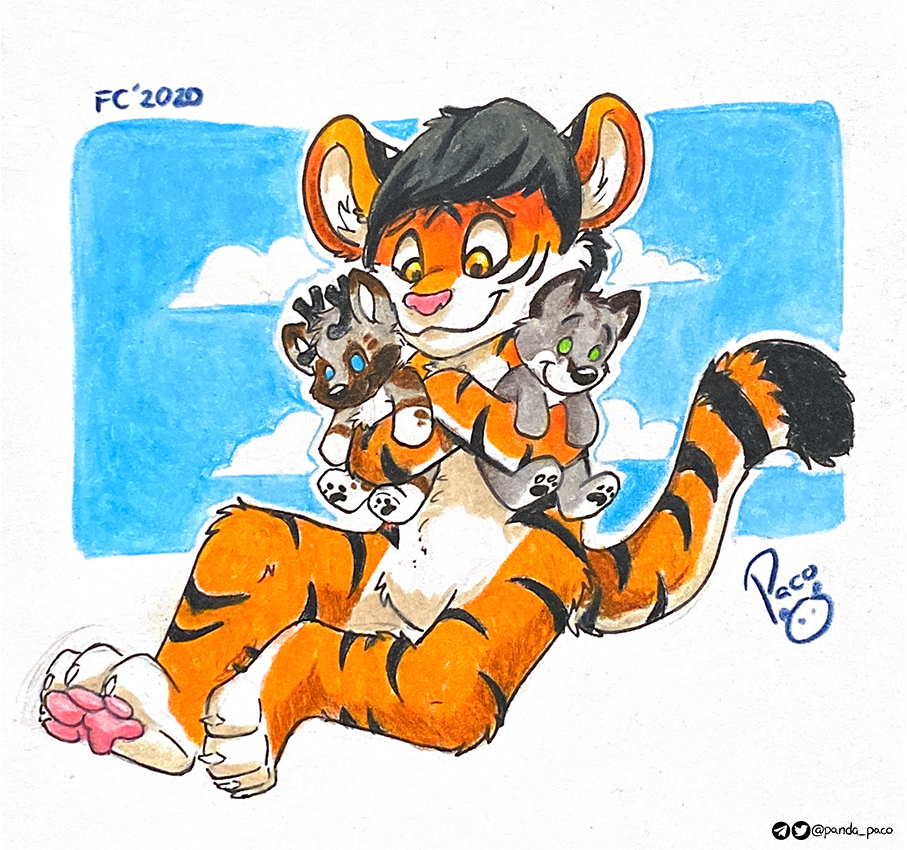 3042274_pandapaco_741claudletigre.jpg