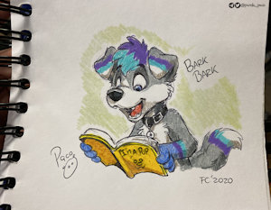 3042275_pandapaco_742taebyn.jpg