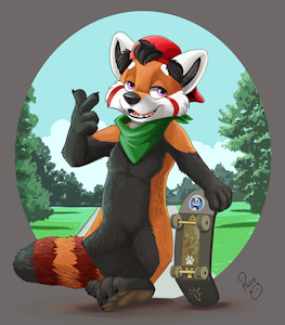 Sk8er RAD Panda