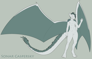 Sonar Caspersky