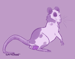Year of the Rat - Rat Girl 4