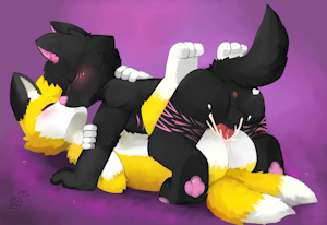 COMMISSION for Luckyrainbowwolf and LipeRinehart