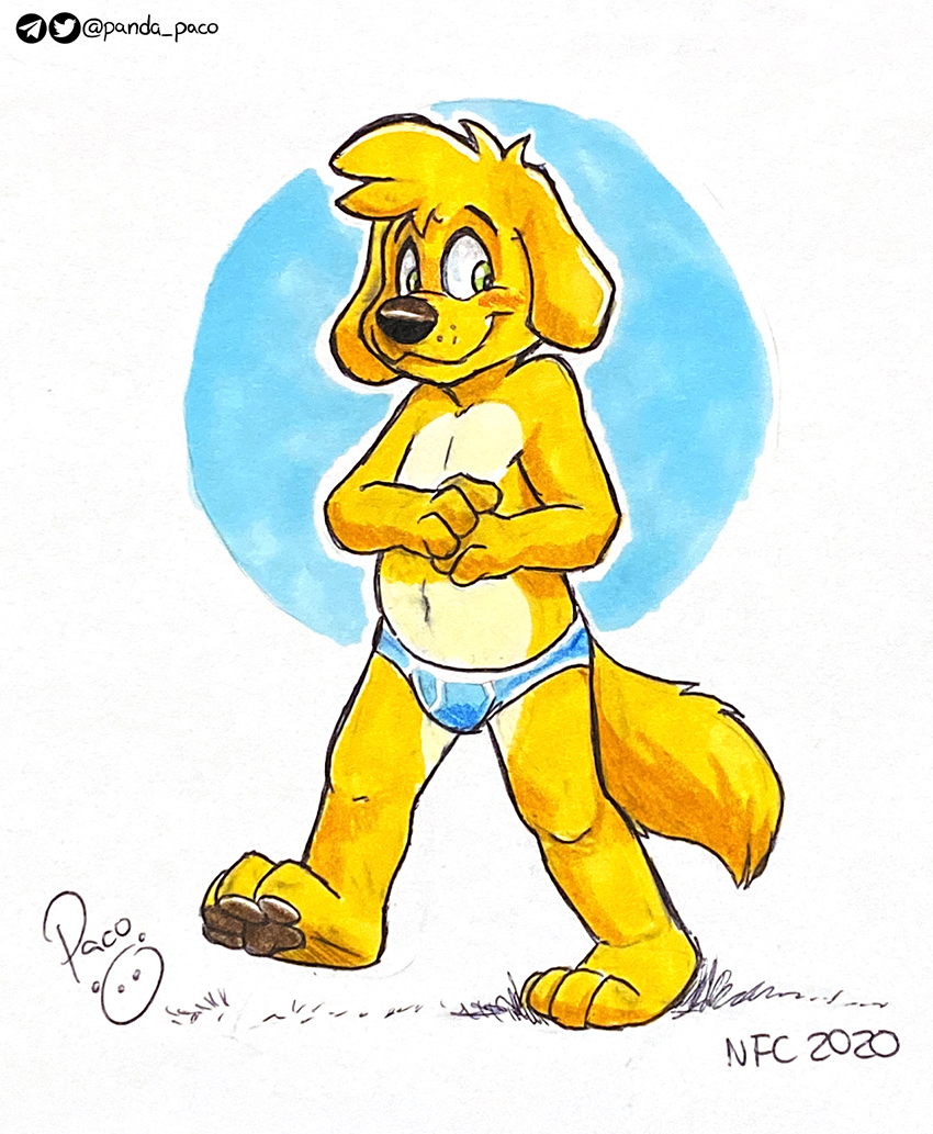3063516_pandapaco_752dogget.png