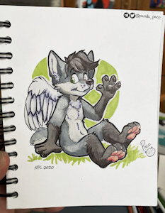 3063519_pandapaco_755apollo2.jpg