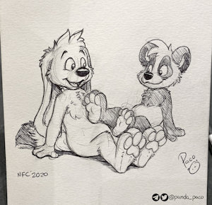 3063523_pandapaco_759yamavu.jpg