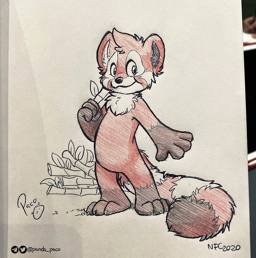 3063524_pandapaco_760artwah.jpg