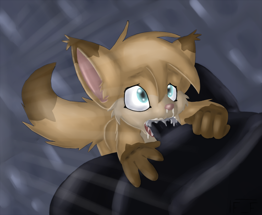 273214_FlyingFox_gf_suckingsmallblack.png