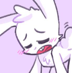 bunn uwu