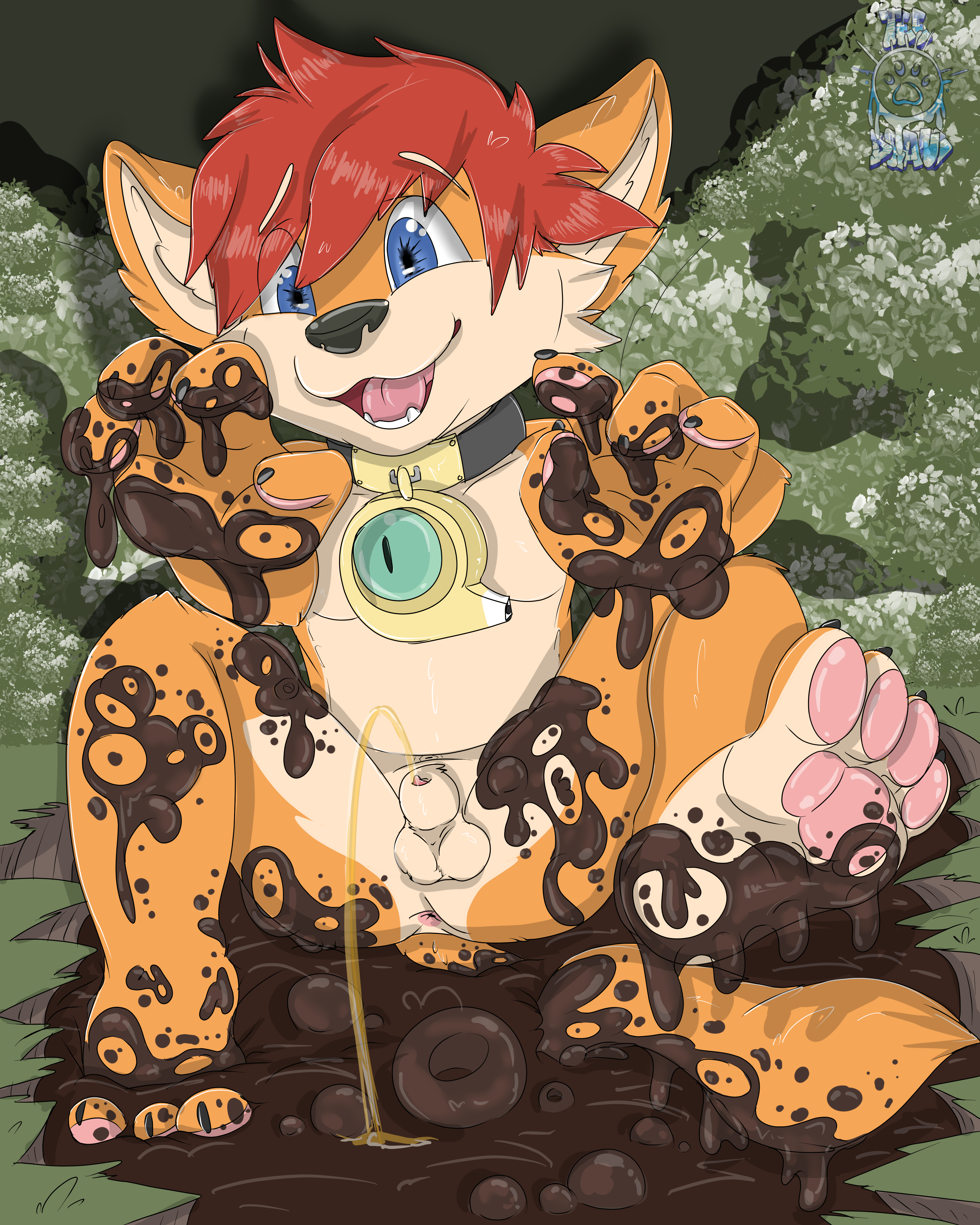 3075908_CookieFoxBrandon_muddyboipee.jpg