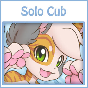 Calico Boy