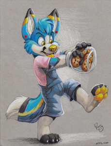 Rummi and the cookies