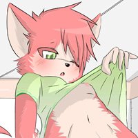 Shy Yoko