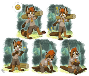 Roocoon to Beaver