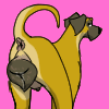 3109391_DangerDoberman_80a825d62f1266603407f7398f2494bb.gif