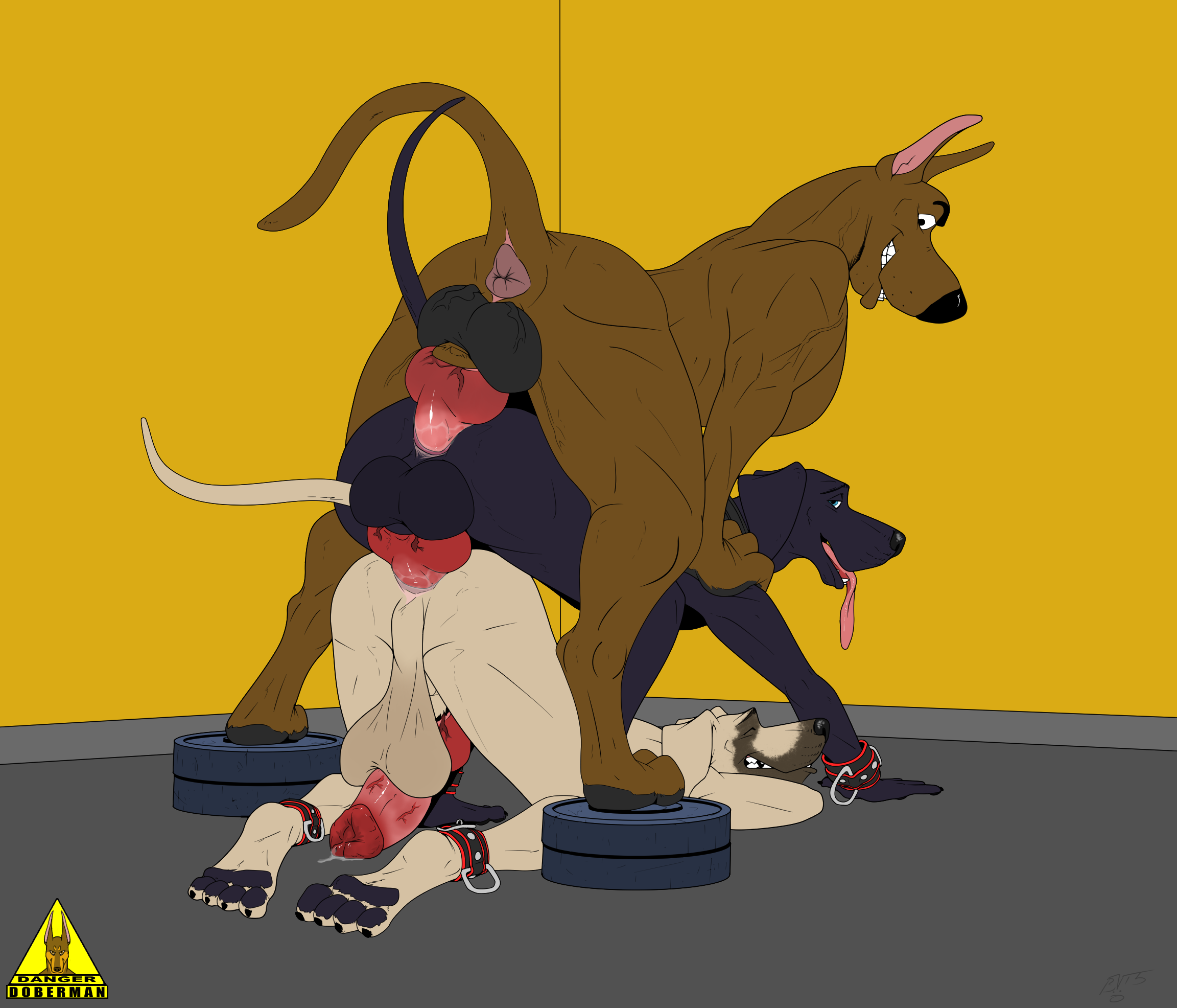 3109422_DangerDoberman_furryjibe_commission_scoobydoodthreesomedanes_flatcolor.png