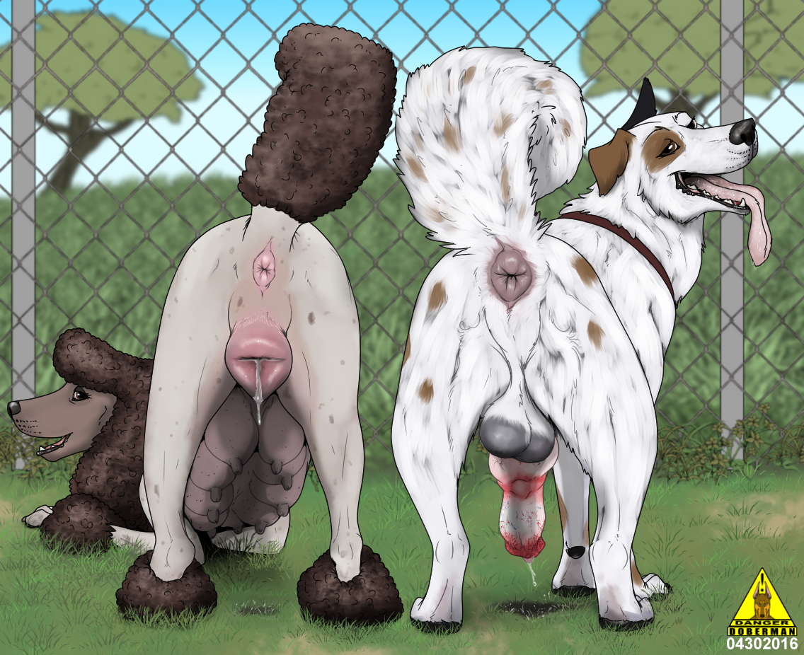 3109522_DangerDoberman_timtam_commission_04302016.png