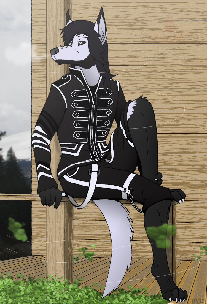 3109555_DangerDoberman_claskcommission.png