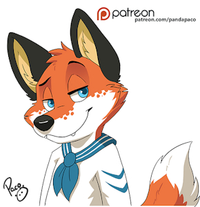 3111610_pandapaco_782navy.png