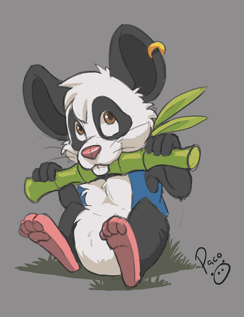 3111611_pandapaco_783jazzy.jpg