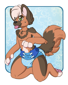 Diapered G-shep pup