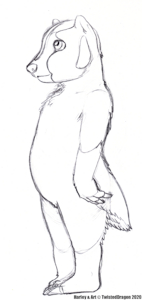 3117688_TwistedDragon_harleytoddles.png