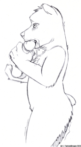 Bear BJ