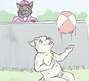 Other side of the fence