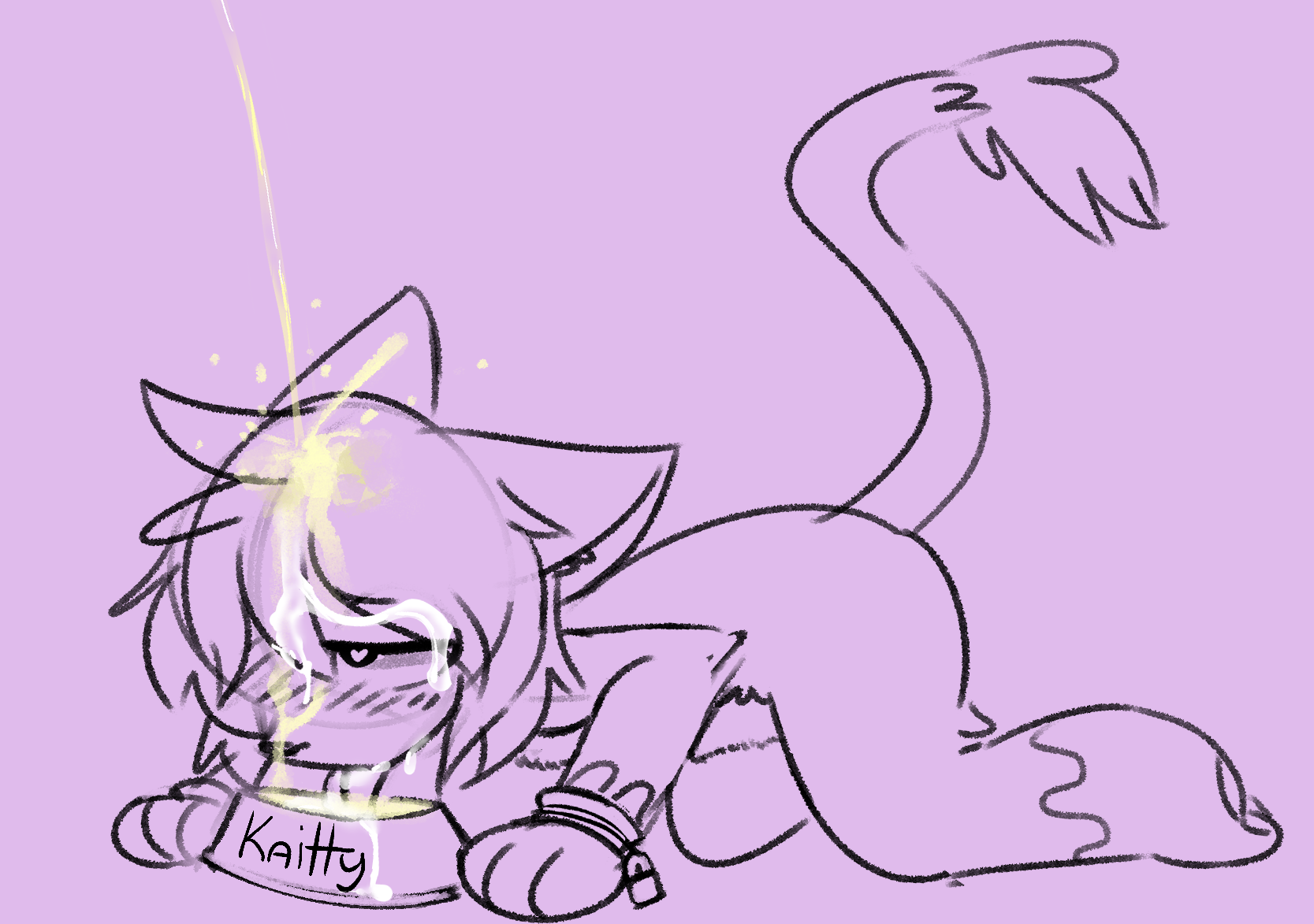 3127922_Kaittycat_kt_kaitty_pet_bowl_watersports.png