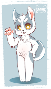 husky boy ($)
