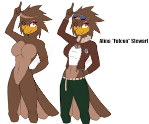 Alina's New Design