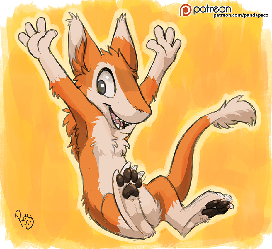 3136990_pandapaco_796sergal.jpg