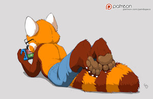 3136994_pandapaco_799pablo.jpg